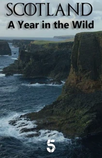 Watch Scotland: A Year In The Wild online