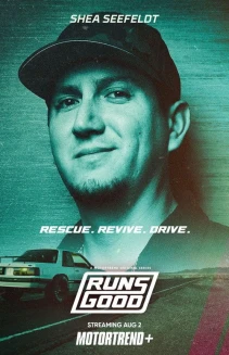Watch Runs Good online