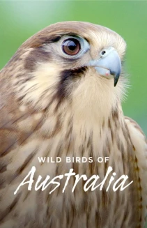 Watch Wild Birds of Australia online
