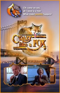 Watch Crazy like a Fox online