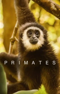 Watch Primates online
