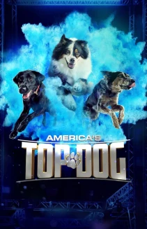 Watch America's Top Dog online