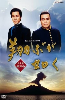 Watch As If In Flight online