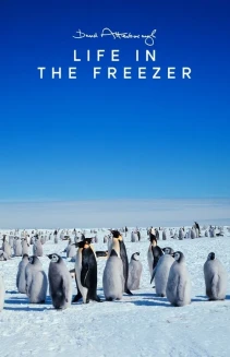 Watch Life in the Freezer online