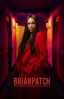 Watch Briarpatch online