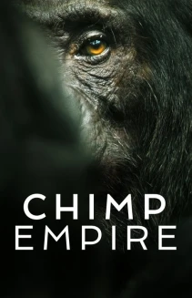 Watch Chimp Empire online