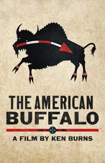 Watch The American Buffalo online