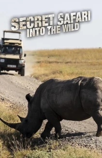 Watch Secret Safari: Into the Wild online
