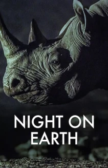 Watch Night on Earth online