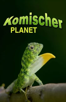 Watch Planet Weird online