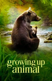 Watch Growing Up Animal online