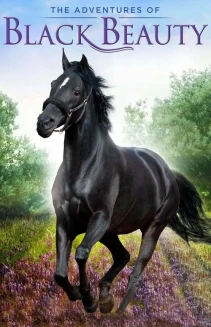 Watch The Adventures of Black Beauty online