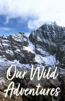 Watch Our Wild Adventures online