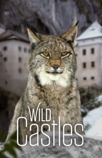 Watch Wild Castles online