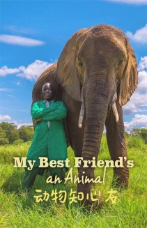 Watch My Best Friend's An Animal online