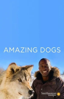 Watch Amazing Dogs online