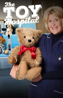 Watch The Toy Hospital online