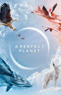 Watch A Perfect Planet online