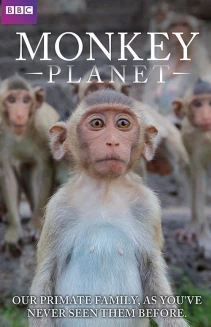 Watch Monkey Planet online