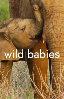 Watch Wild Babies online
