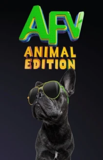Watch America's Funniest Home Videos: Animal Edition online