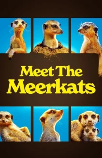 Watch Meet The Meerkats online