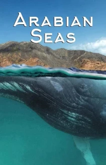 Watch Arabian Seas online