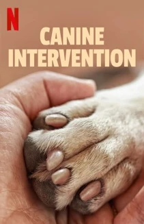 Watch Canine Intervention online