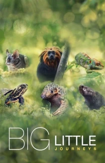 Watch Big Little Journeys online