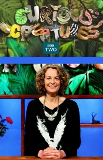 Watch Curious Creatures online