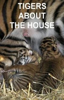 Watch Tigers About the House online