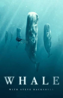 Watch Whale with Steve Backshall online