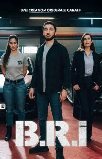 Watch The Brigade online