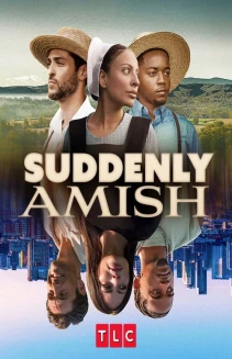 Watch Suddenly Amish online