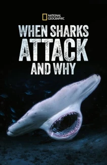 Watch When Sharks Attack... and Why online
