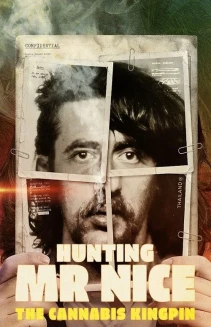 Watch Hunting Mr Nice: The Cannabis Kingpin online