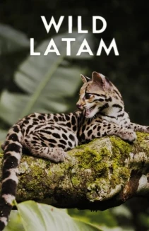 Watch Wild Latam online