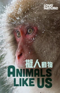 Watch Animals Like Us online