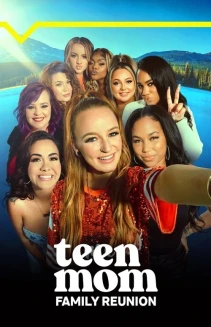 Watch Teen Mom: Family Reunion online