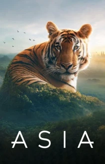 Watch Asia online