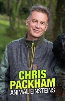 Watch Chris Packham's Animal Einsteins online
