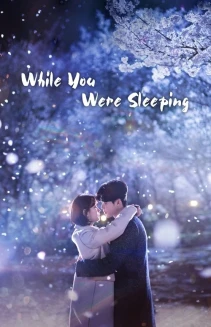 Watch While You Were Sleeping online