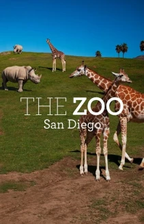 Watch The Zoo: San Diego online