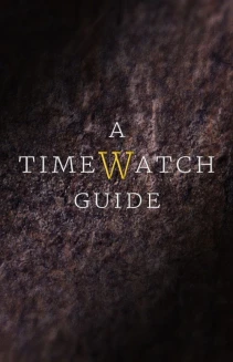 Watch A Timewatch Guide online