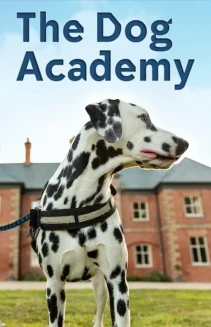 Watch Bad Dog Academy online