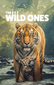 Watch The Wild Ones online