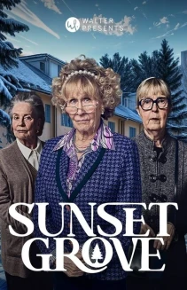 Watch Sunset Grove online