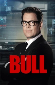 Watch Bull online