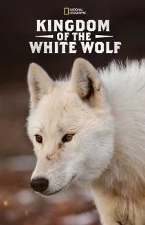 Watch Kingdom of the White Wolf online