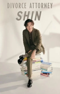 Watch Divorce Attorney Shin online